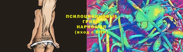 2c-b Горнозаводск