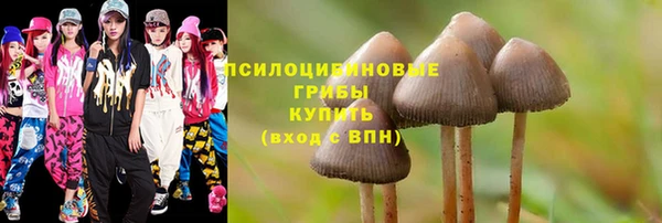 а пвп мука Вяземский