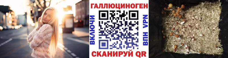 Галлюциногенные грибы GOLDEN TEACHER  кракен   Магнитогорск  наркотики 